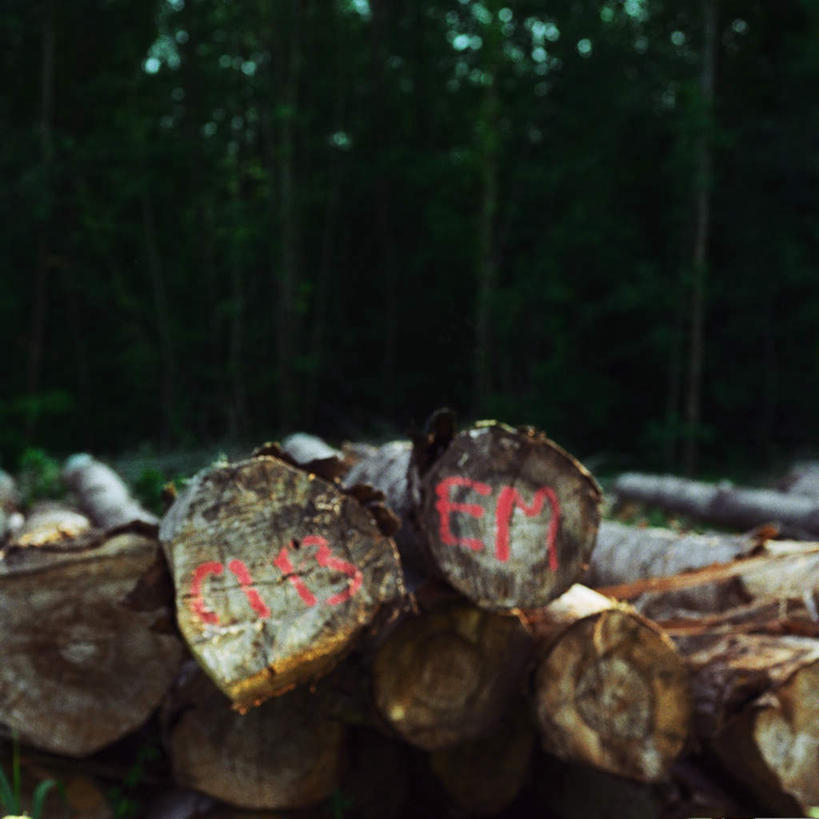 无人,方图,室外,白天,正面,旅游,度假,美景,森林,树林,植物,一堆,堆叠,堆积,环保,标志,木材,木头,文字,字符,字母,景观,娱乐,标识,树,树木,绿色,自然,享受,休闲,景色,放松,生长,能源,成长,堆,环境,回收,砍树,伐木,资源,自然风光,利用,低碳,循环,持续,彩图