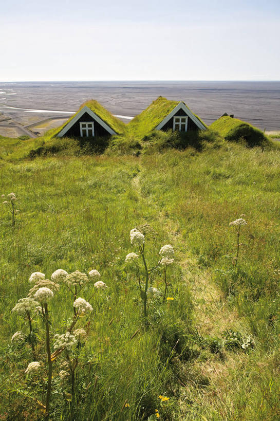 无人,公园,竖图,室外,白天,正面,旅游,度假,草地,草坪,美景,植物,欧洲,冰岛,盛开,地平线,景观,辽阔,地面,花蕾,娱乐,草,花,花瓣,花朵,鲜花,绿色,天空,自然,天,花苞,花蕊,享受,休闲,广阔,景色,放松,一望无际,国家公园,自然风光,北欧,延伸,冰岛共和国,天地相交,无边无际,一马平川,瓦特纳冰川国家公园,彩图