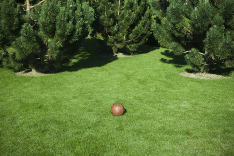 无人,横图,俯视,室外,白天,旅游,度假,足球,草地,草坪,美景,树林,植物,瑞士,欧洲,阴影,光线,影子,景观,足球装备,娱乐,运动器械,草,树,树木,一个,绿色,阳光,自然,享受,休闲,健身器械,景色,放松,生长,单个,成长,自然风光,健身器材,中欧,常绿树,蹴鞠,瑞士联邦,足球运动,针叶树,彩图,高角度拍摄,软材,运动器材