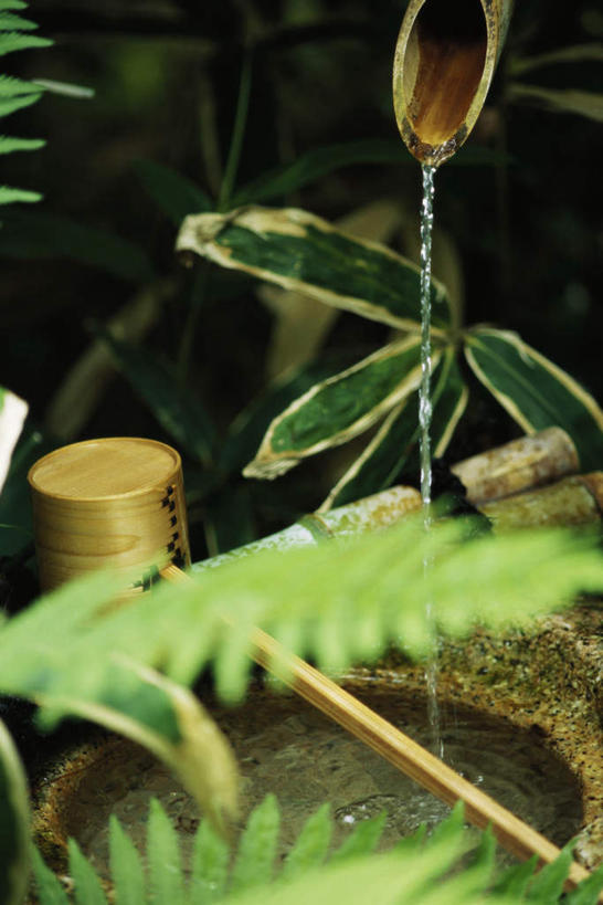 无人,竖图,室外,特写,白天,水,叶子,日本,亚洲,竹制,朦胧,模糊,日本文化,艺术,液体,水滴,园艺,绿叶,嫩叶,优美,东亚,含蓄,日本国,雅致,添水,惊鹿,僧都,叶,叶片,半身,彩图,传统文化