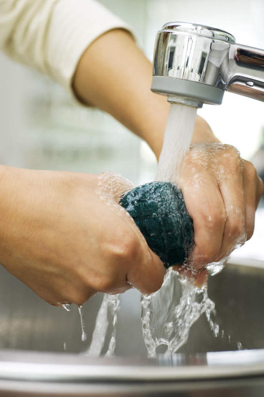 西方人,手,一个人,站,竖图,室内,特写,白天,侧面,厨房,欧洲,欧洲人,仅一个年轻女性,仅一个女性,仅一个人,飞溅,溅,水槽,水龙头,液体,水滴,拿,百洁布,拿着,水珠,清洁,站着,手部,喷洒,年轻女性,女人,女性,白种人,清洗,站立,半身,彩图,灶间