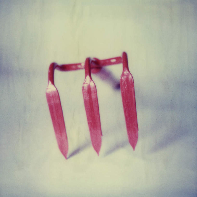 无人,方图,俯视,室内,特写,白天,白色背景,农业,静物,一把,朦胧,模糊,工具,摄影,影棚,耙,农具,彩图,高角度拍摄,影棚拍摄,拍摄