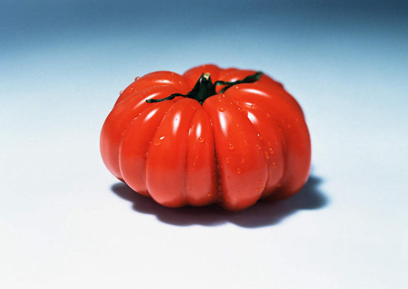 无人,横图,俯视,室内,特写,白天,白色背景,桌面,蔬菜,西红柿,一片,阴影,新鲜,反射,影子,食品,食物,一个,红色,绿色,球体,摄影,有机食品,绿色食品,影棚,单个,萼片,番茄,彩图,高角度拍摄,影棚拍摄,拍摄