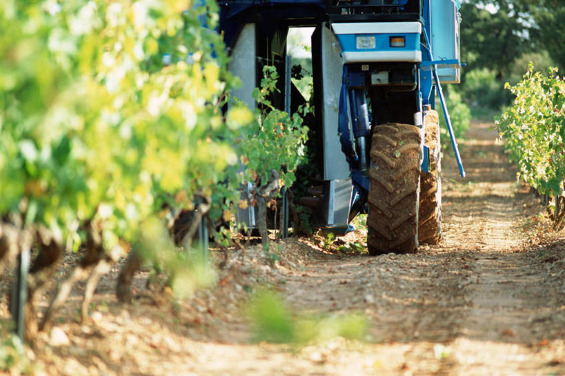 无人,农田,横图,室外,白天,正面,庄稼,农作物,植物,道路,路,静物,一辆,许多,阴影,丰收,光线,影子,小路,交通,车,树,树木,绿色,阳光,自然,车轮,行驶,生长,收获,成长,收割机,农具,彩图,耕地,庄稼田