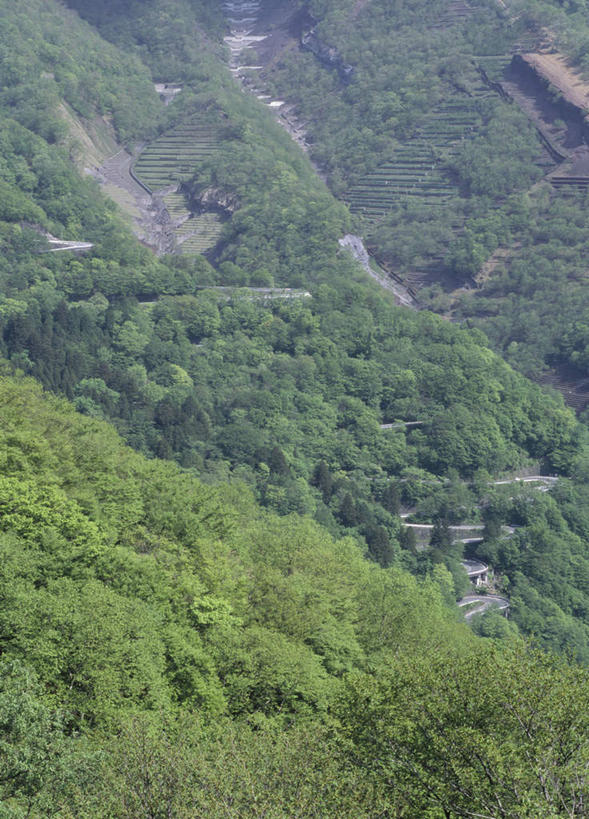 无人,竖图,俯视,室外,白天,旅游,度假,美景,山,山脉,树林,植物,日本,亚洲,景观,山峰,山峦,娱乐,树,树木,绿色,自然,群山,享受,休闲,景色,放松,生长,成长,自然风光,东亚,本州,关东地方,本州岛,日本国,栃木,栃木县,彩图,高角度拍摄