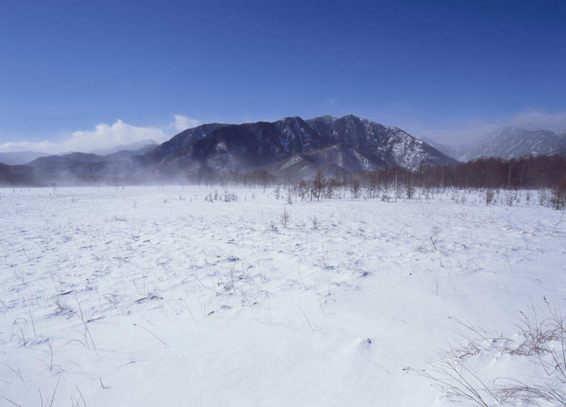 无人,横图,室外,白天,正面,旅游,度假,美景,山,山脉,树林,雪,植物,大雪,日光,日本,亚洲,阴影,光线,影子,积雪,景观,山峰,雪景,云,云朵,冬天,山峦,云彩,娱乐,树,树木,蓝色,绿色,白云,蓝天,天空,阳光,自然,群山,天,享受,休闲,景色,放松,生长,成长,自然风光,东亚,本州,关东地方,本州岛,日本国,栃木,栃木县,日光市,彩图