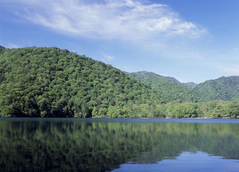 无人,横图,室外,白天,正面,旅游,度假,湖,湖泊,美景,山,山脉,树林,水,植物,日光,日本,亚洲,阴影,光线,影子,湖面,景观,山峰,水流,水面,云,云朵,山峦,云彩,娱乐,树,树木,蓝色,绿色,白云,蓝天,天空,阳光,自然,湖水,群山,天,享受,休闲,景色,放松,生长,成长,自然风光,东亚,本州,关东地方,本州岛,日本国,栃木,栃木县,日光市,彩图