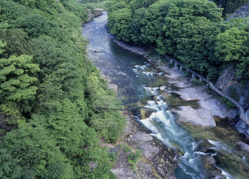 无人,横图,俯视,室外,白天,旅游,度假,河流,石头,美景,树林,水,植物,日本,亚洲,阴影,光线,石子,影子,河水,景观,水流,娱乐,树,树木,绿色,阳光,自然,享受,休闲,景色,放松,生长,成长,自然风光,东亚,本州,关东地方,本州岛,日本国,群马,群马县,石块,彩图,高角度拍摄