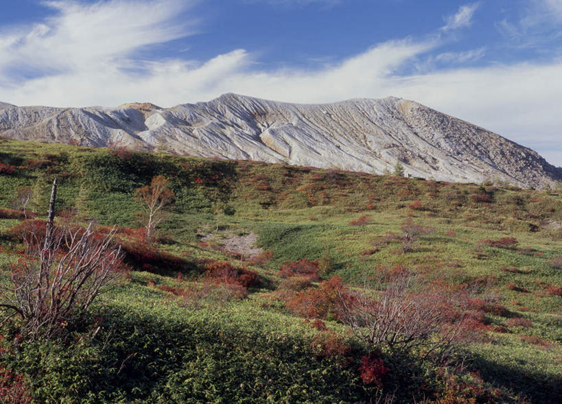 无人,横图,室外,白天,正面,旅游,度假,草地,草坪,美景,秋季,山,山脉,树林,植物,日本,亚洲,许多,阴影,枯萎,光线,影子,景观,山峰,云,云朵,枯草,山峦,云彩,娱乐,草,树,树木,红色,蓝色,绿色,白云,蓝天,天空,阳光,自然,群山,天,享受,休闲,景色,放松,生长,成长,自然风光,东亚,本州,关东地方,本州岛,日本国,群马,群马县,秋,秋天,彩图