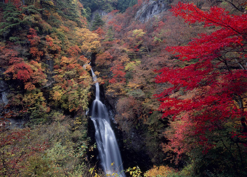 无人,横图,室外,白天,正面,旅游,度假,美景,瀑布,秋季,山,树林,水,植物,日本,亚洲,许多,阴影,飞溅,溅,光线,液体,影子,景观,山峰,山峦,娱乐,树,树木,黄色,红色,绿色,阳光,自然,享受,休闲,景色,放松,生长,成长,喷洒,自然风光,东亚,本州,关东地方,本州岛,日本国,群马,群马县,跌水,秋,秋天,彩图