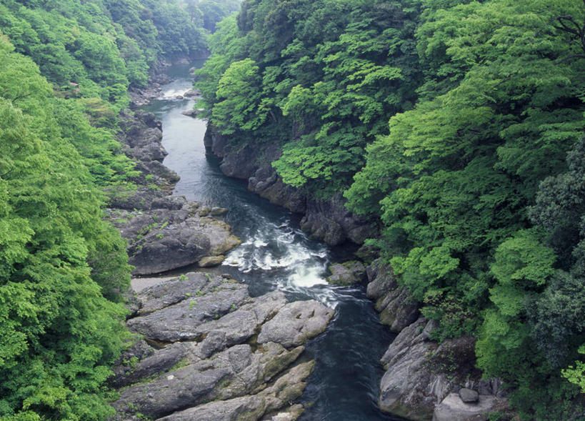 无人,横图,俯视,室外,白天,旅游,度假,河流,石头,美景,树林,水,植物,日本,亚洲,阴影,光线,石子,影子,河水,景观,水流,娱乐,树,树木,绿色,小溪,阳光,自然,溪水,享受,休闲,景色,放松,生长,成长,自然风光,东亚,本州,关东地方,本州岛,日本国,群马,群马县,石块,岩石,彩图,高角度拍摄