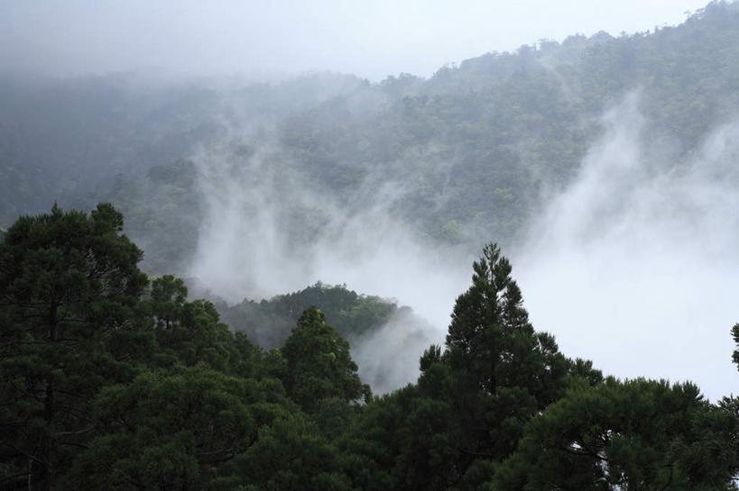 无人,横图,俯视,航拍,室外,白天,旅游,度假,美景,山,山脉,树林,植物,雾,鹿儿岛,日本,亚洲,朦胧,模糊,景观,山峰,山峦,娱乐,树,树木,蓝色,绿色,蓝天,天空,自然,群山,天,享受,休闲,景色,放松,生长,成长,迷雾,鸟瞰,自然风光,东亚,日本国,九州本岛,九州,九州岛,九州地方,鹿儿岛县,屋久岛,大雾,彩图,高角度拍摄