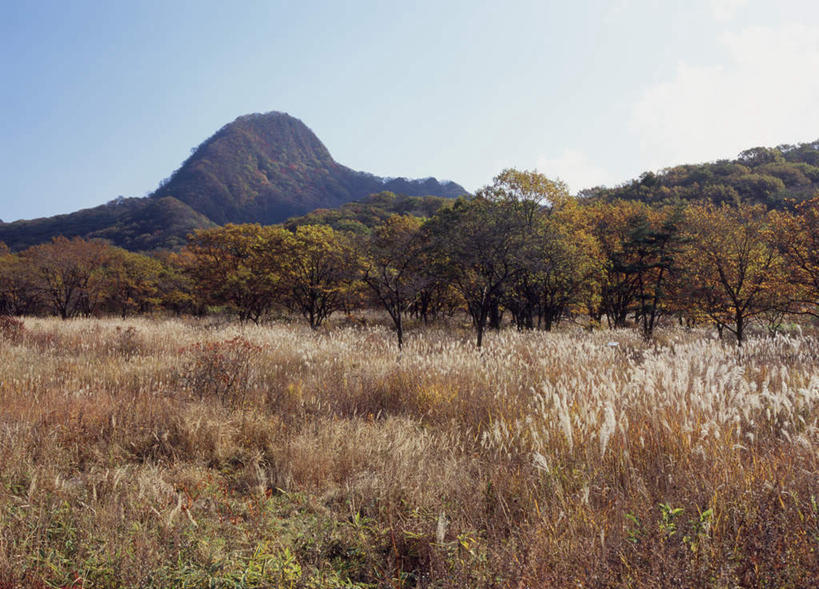 无人,横图,室外,白天,正面,旅游,度假,美景,山,山脉,树林,植物,日本,亚洲,阴影,枯萎,光线,影子,景观,山峰,云,云朵,枯草,山峦,云彩,娱乐,草,树,树木,黄色,蓝色,绿色,白云,蓝天,天空,阳光,自然,群山,天,享受,休闲,景色,放松,生长,成长,自然风光,东亚,本州,关东地方,本州岛,日本国,群马,群马县,彩图