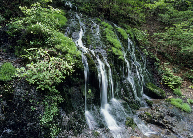 无人,横图,室外,白天,正面,旅游,度假,石头,美景,瀑布,树林,水,植物,日本,亚洲,阴影,飞溅,溅,光线,石子,液体,影子,景观,娱乐,树,树木,蓝色,绿色,蓝天,天空,阳光,自然,天,享受,休闲,景色,放松,生长,成长,喷洒,自然风光,东亚,本州,关东地方,本州岛,日本国,群马,群马县,跌水,石块,岩石,彩图