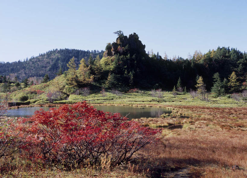 无人,横图,室外,白天,正面,旅游,度假,湖,湖泊,美景,秋季,山,树林,水,植物,日本,亚洲,许多,阴影,枯萎,光线,影子,湖面,景观,山峰,水流,水面,枯草,山峦,娱乐,草,树,树木,黄色,红色,蓝色,绿色,蓝天,天空,阳光,自然,湖水,天,享受,休闲,景色,放松,生长,成长,自然风光,东亚,本州,关东地方,本州岛,日本国,群马,群马县,秋,秋天,彩图