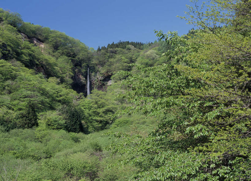 无人,横图,室外,白天,仰视,旅游,度假,草地,草坪,美景,山,山脉,树林,植物,日本,亚洲,阴影,光线,影子,景观,山峰,山峦,娱乐,草,树,树木,蓝色,绿色,蓝天,天空,阳光,自然,群山,天,享受,休闲,景色,放松,生长,成长,自然风光,东亚,本州,关东地方,本州岛,日本国,群马,群马县,彩图,低角度拍摄