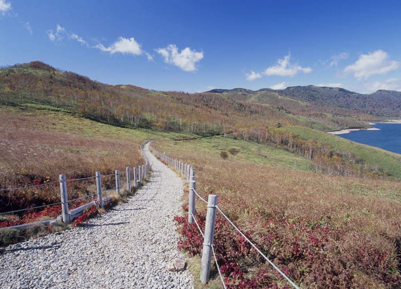 无人,栏杆,横图,室外,白天,正面,旅游,度假,湖,湖泊,美景,山,山脉,水,植物,道路,路,日本,亚洲,阴影,枯萎,光线,影子,栅栏,湖面,景观,篱笆,山峰,水流,水面,云,云朵,围栏,小路,枯草,交通,山峦,云彩,娱乐,护栏,草,黄色,蓝色,白云,蓝天,天空,阳光,自然,湖水,群山,天,享受,休闲,景色,放松,自然风光,东亚,本州,关东地方,本州岛,日本国,群马,群马县,彩图