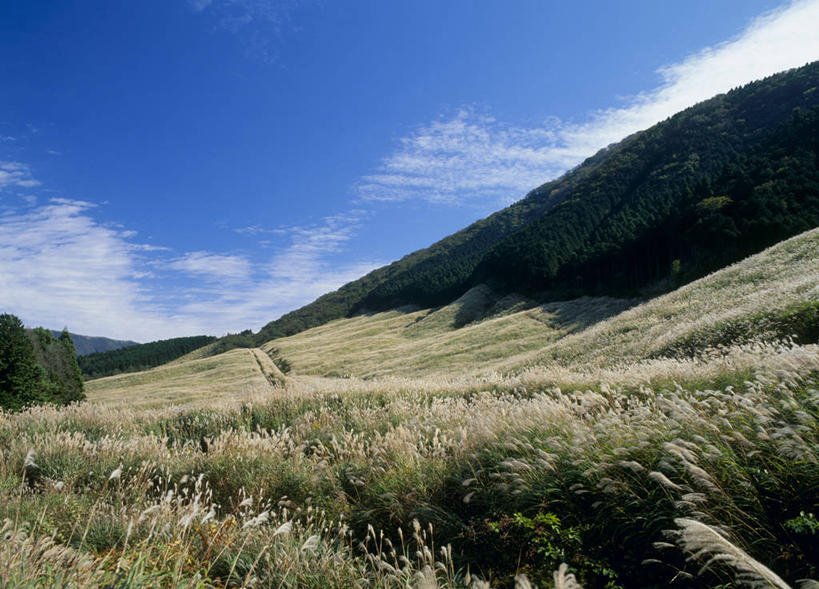 无人,横图,室外,白天,仰视,旅游,度假,草地,草原,石头,美景,山,山脉,植物,道路,路,神奈川,日本,亚洲,阴影,光线,石子,影子,景观,旷野,山顶,山峰,云,云朵,小路,交通,山峦,神奈川县,云彩,娱乐,草,蓝色,绿色,白云,蓝天,天空,阳光,自然,群山,天,享受,休闲,景色,放松,乡间小路,晴朗,自然风光,原野,东亚,沉积岩,本州,关东地方,本州岛,日本国,颠峰,极峰,水成岩,石块,岩石,晴空,彩图,低角度拍摄,箱根町,足柄下郡