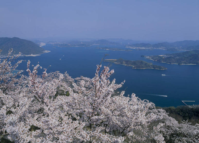 无人,横图,俯视,室外,白天,旅游,度假,海浪,海洋,山,植物,轮船,船,樱花,广岛县,日本,亚洲,许多,波纹,飞溅,盛开,溅,液体,浪花,山峰,粉红,山峦,花蕾,娱乐,花,花瓣,花朵,鲜花,树,树木,粉色,蓝色,绿色,水纹,自然,海水,船尾波,波浪,花苞,花蕊,享受,休闲,放松,生长,成长,喷洒,海景,东亚,本州,本州岛,日本国,広岛,中国地方,芸予诸岛,大海,风浪,海,海水的波动,近岸浪,涌浪,彩图,高角度拍摄