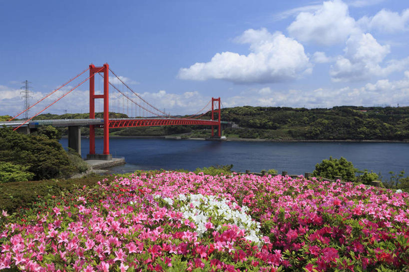 无人,横图,室外,白天,正面,旅游,度假,花海,花圃,河流,山,树林,水,植物,大桥,立交桥,桥梁,杜鹃花,叶子,长崎,日本,亚洲,盛开,河水,山峰,水流,云,云朵,高架,斜拉桥,桥,杜鹃,山峦,花蕾,云彩,娱乐,花,花瓣,花朵,鲜花,树,树木,红色,蓝色,绿色,紫色,白色,白云,蓝天,天空,自然,花丛,花束,花田,天,花苞,花蕊,享受,休闲,放松,生长,成长,东亚,日本国,长崎县,九州本岛,九州,九州岛,九州地方,平户大桥,映山红,彩图