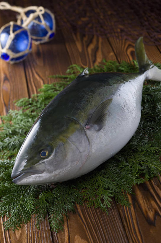 海鲜,无人,竖图,俯视,室内,特写,白天,餐桌,桌子,叶子,玻璃,一条,阴影,反射,鱼,影子,绿叶,水产,鱼类,海洋生物,玻璃制品,两个,蓝色,嫩叶,餐台,水生动物,海产品,水生物,海底动物,叶,叶片,彩图,高角度拍摄,浮法玻璃