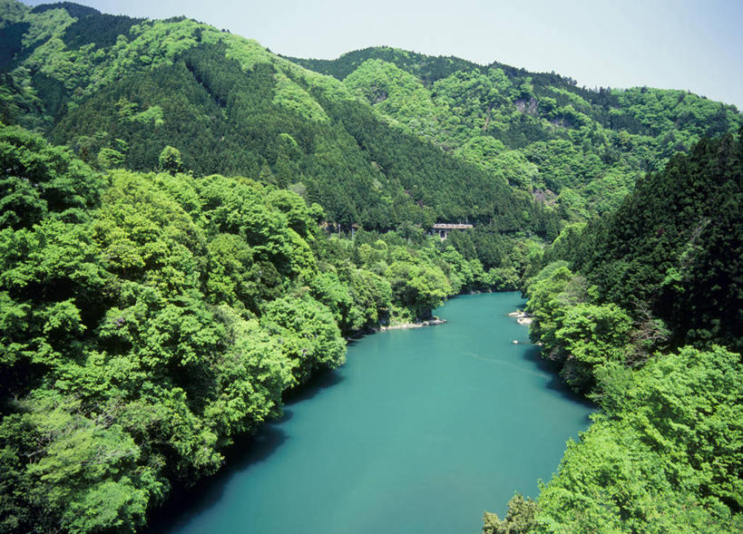 无人,横图,俯视,航拍,室外,白天,旅游,度假,河流,美景,森林,山,山脉,树林,水,植物,东京,日本,亚洲,阴影,光线,影子,河水,景观,山峰,水流,山峦,娱乐,树,树木,蓝色,绿色,蓝天,天空,阳光,自然,群山,天,享受,休闲,景色,放松,生长,晴朗,成长,鸟瞰,自然风光,东亚,本州,万里无云,关东地方,本州岛,日本国,东京都,多摩川,晴空,晴空万里,彩图,高角度拍摄,奥多摩町,多摩地方,多摩地区,多摩地域,三多摩,西多摩郡