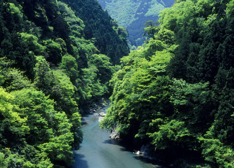 无人,横图,俯视,室外,白天,旅游,度假,河流,美景,森林,山,山脉,树林,水,植物,东京,日本,亚洲,阴影,光线,影子,河水,景观,山峰,水流,山峦,娱乐,树,树木,绿色,阳光,自然,群山,享受,休闲,景色,放松,生长,成长,自然风光,东亚,本州,关东地方,本州岛,日本国,东京都,多摩川,彩图,高角度拍摄,奥多摩町,多摩地方,多摩地区,多摩地域,三多摩,西多摩郡