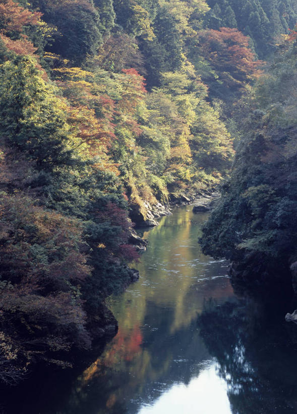 无人,竖图,俯视,室外,白天,旅游,度假,河流,美景,森林,山,山脉,树林,水,植物,东京,日本,亚洲,阴影,光线,影子,河水,景观,山峰,水流,山峦,娱乐,树,树木,绿色,阳光,自然,群山,享受,休闲,景色,放松,生长,成长,自然风光,东亚,本州,关东地方,本州岛,日本国,东京都,多摩川,彩图,高角度拍摄,奥多摩町,多摩地方,多摩地区,多摩地域,三多摩,西多摩郡