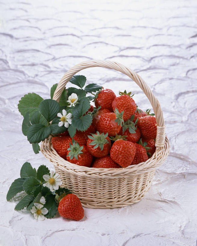 无人,交叉,竖图,俯视,室内,特写,白天,白色背景,餐桌,桌子,竹子,草莓,浆果,水果,叶子,一堆,许多,阴影,堆叠,堆积,竹制,新鲜,盛开,编织,反射,篮子,影子,生食,食品,果实,绿叶,花蕾,花,花瓣,花朵,鲜花,食物,一个,红色,白色,竹篮,花苞,花蕊,嫩叶,摄影,有机食品,绿色食品,影棚,单个,餐台,竹条,堆,交织,竹制品,勇气,穿插,草莓花,甜蜜,叶,叶片,洋莓,水果皇后,红莓,地莓,彩图,高角度拍摄,影棚拍摄,拍摄,恋情