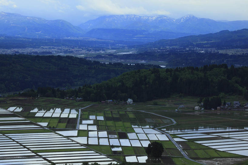 无人,农田,横图,俯视,室外,白天,旅游,度假,农业,庄稼,农作物,美景,森林,山,山脉,树林,植物,日本,亚洲,阴影,光线,影子,稻田,景观,山峰,云,云朵,山峦,云彩,娱乐,树,树木,蓝色,绿色,白云,蓝天,天空,阳光,自然,群山,天,享受,休闲,景色,放松,生长,晴朗,成长,自然风光,东亚,本州,本州岛,日本国,中部地方,新潟,新潟县,晴空,彩图,高角度拍摄,耕地,庄稼田,小千谷市,中越地方