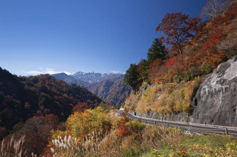 无人,横图,室外,白天,正面,旅游,度假,石头,美景,秋季,森林,山,山脉,树林,植物,叶子,日本,亚洲,阴影,光线,石子,影子,景观,山峰,悬崖,枯叶,落叶,山峦,娱乐,树,树木,蓝色,绿色,蓝天,天空,阳光,自然,群山,天,享受,休闲,景色,放松,生长,晴朗,成长,自然风光,东亚,本州,万里无云,本州岛,日本国,石川,石川县,中部地方,绝壁,白山市,叶,叶片,石块,岩石,晴空,晴空万里,秋,秋天,彩图