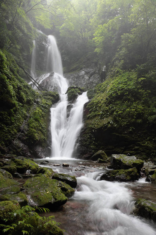 无人,竖图,室外,白天,仰视,旅游,度假,石头,美景,瀑布,森林,树林,水,植物,雾,日本,亚洲,飞溅,朦胧,模糊,溅,石子,液体,景观,水滴,悬崖,娱乐,水珠,树,树木,绿色,自然,享受,休闲,景色,放松,生长,成长,迷雾,喷洒,自然风光,东亚,德岛县,日本国,四国地方,四国,四国岛,徳岛,绝壁,跌水,石块,岩石,大雾,彩图,低角度拍摄,名西郡,神山町