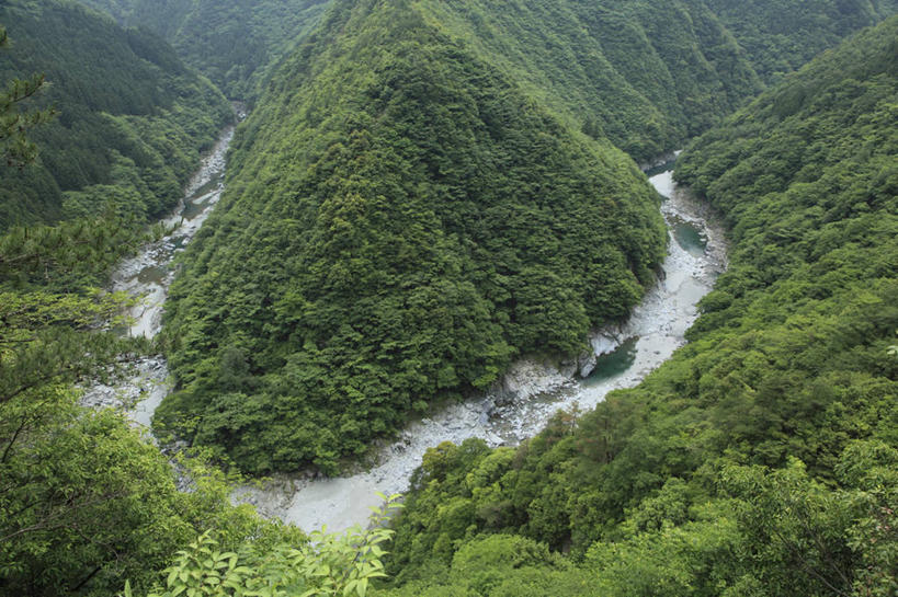 无人,横图,俯视,航拍,室外,白天,旅游,度假,河流,石头,美景,森林,山,山脉,树林,水,植物,日本,亚洲,石子,河水,景观,山峰,水流,山峦,娱乐,树,树木,绿色,自然,群山,享受,休闲,景色,放松,生长,成长,鸟瞰,自然风光,东亚,德岛县,日本国,四国地方,四国,四国岛,徳岛,石块,岩石,彩图,高角度拍摄,三好市,祖谷溪