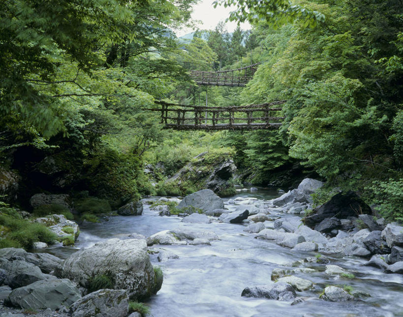 无人,栏杆,横图,室外,白天,正面,旅游,度假,河流,石头,美景,森林,树林,水,植物,日本,亚洲,木板,石子,河水,景观,水流,围栏,桥,木桥,娱乐,护栏,栈桥,树,树木,绿色,天空,自然,天,享受,休闲,景色,放松,生长,成长,人行桥,木板桥,自然风光,东亚,德岛县,日本国,四国地方,四国,四国岛,徳岛,石块,岩石,彩图,三好市,祖谷溪