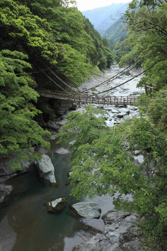 无人,栏杆,竖图,俯视,室外,白天,旅游,度假,河流,石头,美景,森林,树林,水,植物,日本,亚洲,木板,石子,河水,景观,水流,围栏,桥,木桥,娱乐,护栏,栈桥,树,树木,绿色,天空,自然,天,享受,休闲,景色,放松,生长,成长,人行桥,木板桥,自然风光,东亚,德岛县,日本国,四国地方,四国,四国岛,徳岛,石块,岩石,彩图,高角度拍摄,三好市,祖谷溪