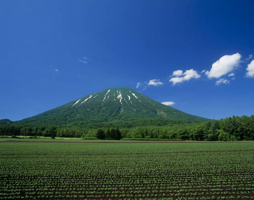 无人,横图,室外,白天,正面,旅游,度假,草地,草坪,火山,美景,森林,山,山脉,树林,植物,北海道,日本,亚洲,阴影,光线,影子,景观,山峰,云,云朵,山峦,云彩,娱乐,草,树,树木,蓝色,绿色,白云,蓝天,天空,阳光,自然,群山,天,享受,休闲,景色,放松,生长,晴朗,成长,自然风光,东亚,日本国,北海道地方,北海道岛,虻田郡,羊蹄山,支笏洞爷国立公园,活火山,晴空,彩图,胆振综合振兴局,后志综合振兴局,振兴局,真狩村,胆振支厅,道央