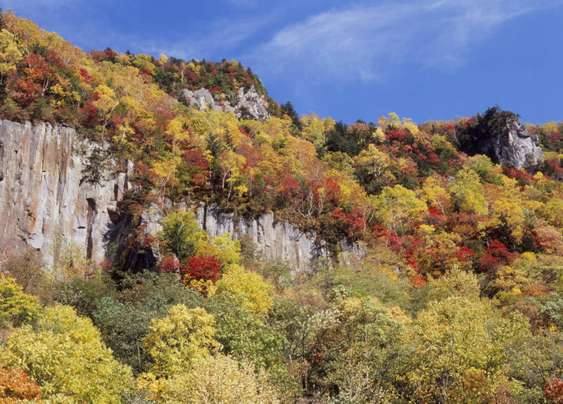 无人,公园,横图,室外,白天,仰视,旅游,度假,石头,美景,秋季,森林,山,山脉,树林,植物,叶子,北海道,日本,亚洲,阴影,光线,石子,影子,景观,山峰,云,云朵,枯叶,落叶,山峦,云彩,娱乐,树,树木,蓝色,绿色,白云,蓝天,天空,阳光,自然,群山,天,享受,休闲,景色,放松,生长,晴朗,成长,自然风光,东亚,日本国,北海道地方,北海道岛,国立公园,层云峡,叶,叶片,石块,岩石,晴空,秋,秋天,彩图,低角度拍摄,大雪山国立公园
