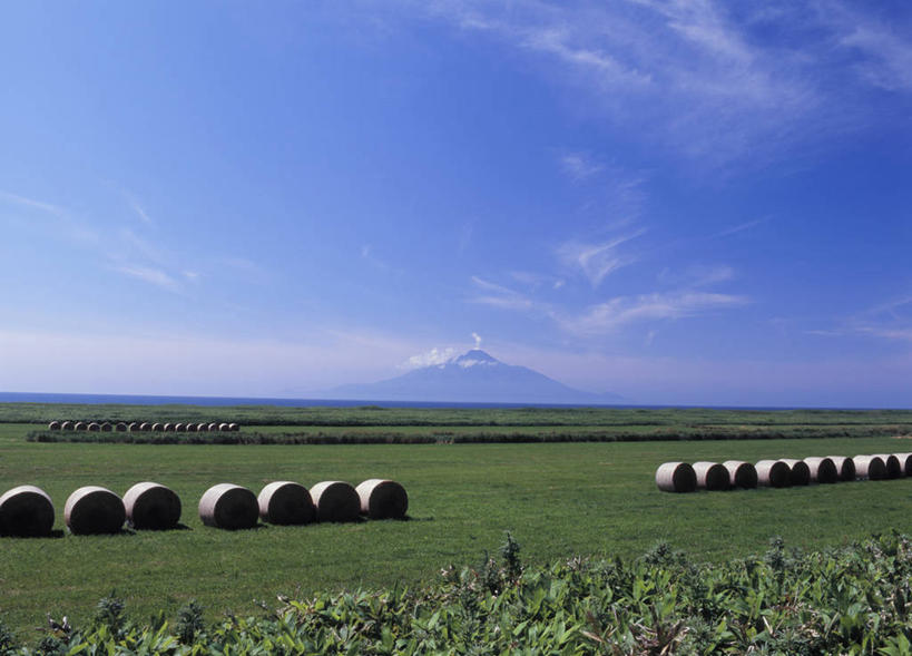 无人,农场,横图,室外,白天,正面,旅游,度假,畜牧业,牧场,草地,草坪,美景,山,山脉,植物,北海道,日本,亚洲,一排,阴影,整齐,光线,影子,景观,山峰,云,云朵,干草,山峦,云彩,娱乐,草,排列,蓝色,绿色,白云,蓝天,天空,阳光,自然,草垛,群山,天,享受,休闲,景色,放松,晴朗,队列,自然风光,东亚,畜牧,日本国,北海道地方,北海道岛,牧业,干草垛,晴空,彩图,利尻岛,利尻郡,利尻山,利尻町,利尻岳