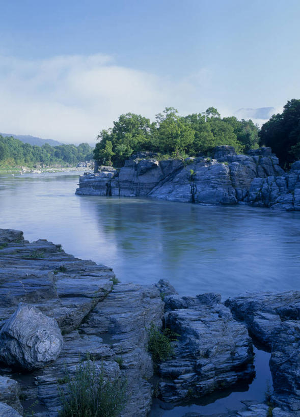 无人,竖图,室外,白天,正面,旅游,度假,河流,石头,美景,森林,树林,水,植物,日本,亚洲,阴影,光线,石子,影子,河水,景观,水流,云,云朵,云彩,娱乐,树,树木,蓝色,绿色,白云,蓝天,天空,阳光,自然,天,享受,休闲,景色,放松,生长,晴朗,成长,自然风光,东亚,本州,关东地方,本州岛,日本国,崎玉,崎玉县,石块,岩石,晴空,彩图,长瀞町,秩父郡,秩父市