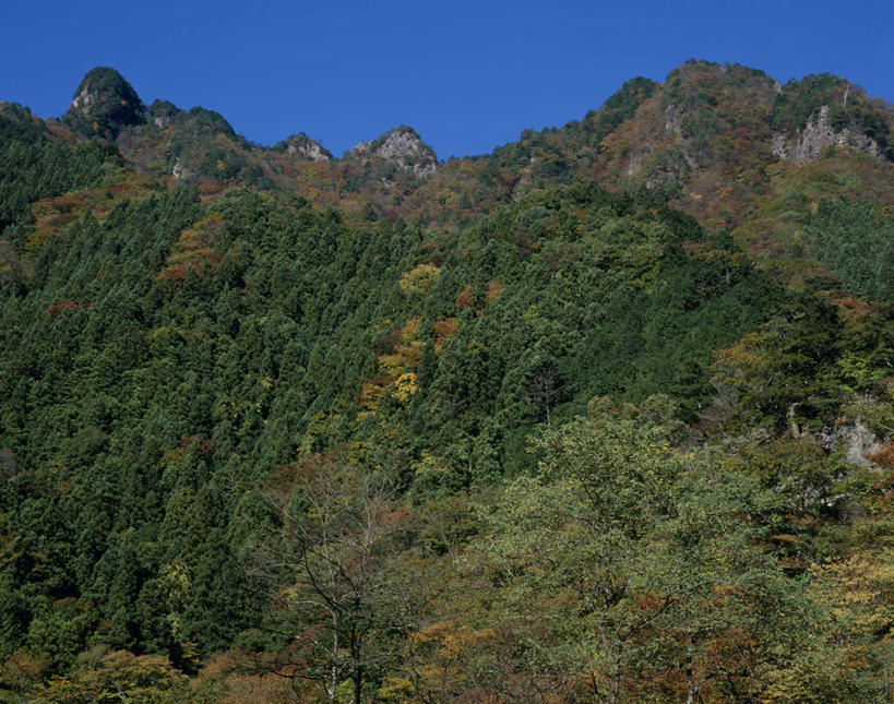 无人,横图,室外,白天,正面,旅游,度假,美景,森林,山,山脉,树林,植物,日本,亚洲,阴影,光线,影子,景观,山峰,山峦,娱乐,树,树木,蓝色,绿色,蓝天,天空,阳光,自然,群山,天,享受,休闲,景色,放松,生长,晴朗,成长,自然风光,东亚,本州,万里无云,关东地方,本州岛,日本国,崎玉,崎玉县,晴空,晴空万里,彩图,秩父市