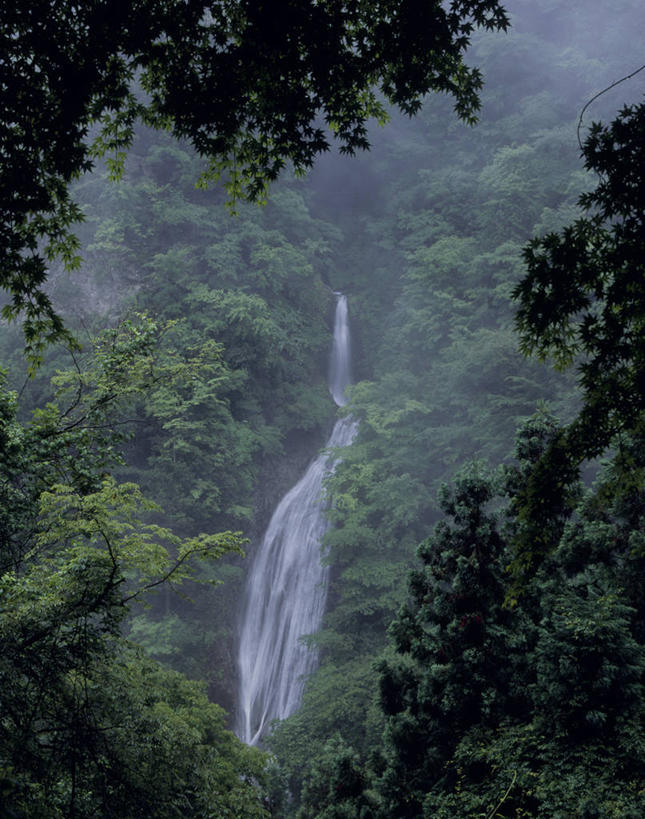 无人,竖图,室外,白天,正面,旅游,度假,美景,瀑布,森林,山,山脉,树林,水,植物,雾,日本,亚洲,飞溅,朦胧,模糊,溅,液体,景观,山峰,水滴,山峦,娱乐,水珠,树,树木,绿色,自然,群山,享受,休闲,景色,放松,生长,成长,迷雾,喷洒,自然风光,东亚,本州,关东地方,本州岛,日本国,崎玉,崎玉县,跌水,大雾,彩图,小鹿野町,秩父郡,秩父市