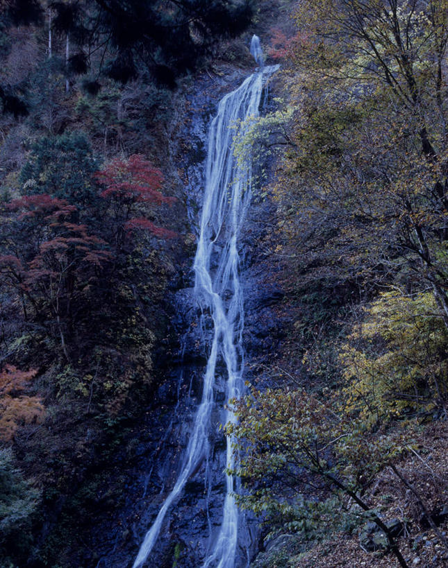 无人,竖图,室外,白天,正面,旅游,度假,美景,瀑布,森林,山,山脉,树林,水,植物,日本,亚洲,飞溅,溅,液体,景观,山峰,水滴,山峦,娱乐,水珠,树,树木,绿色,自然,群山,享受,休闲,景色,放松,生长,成长,喷洒,自然风光,东亚,本州,关东地方,本州岛,日本国,崎玉,崎玉县,跌水,彩图,小鹿野町,秩父郡,秩父市