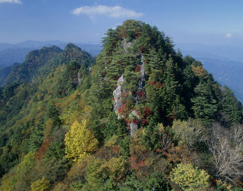 无人,横图,室外,白天,正面,旅游,度假,美景,森林,山,山脉,树林,植物,日本,亚洲,阴影,光线,影子,景观,山峰,云,云朵,山峦,云彩,娱乐,树,树木,蓝色,绿色,白云,蓝天,天空,阳光,自然,群山,天,享受,休闲,景色,放松,生长,晴朗,成长,自然风光,东亚,本州,关东地方,本州岛,日本国,崎玉,崎玉县,晴空,彩图,小鹿野町,秩父郡,秩父市