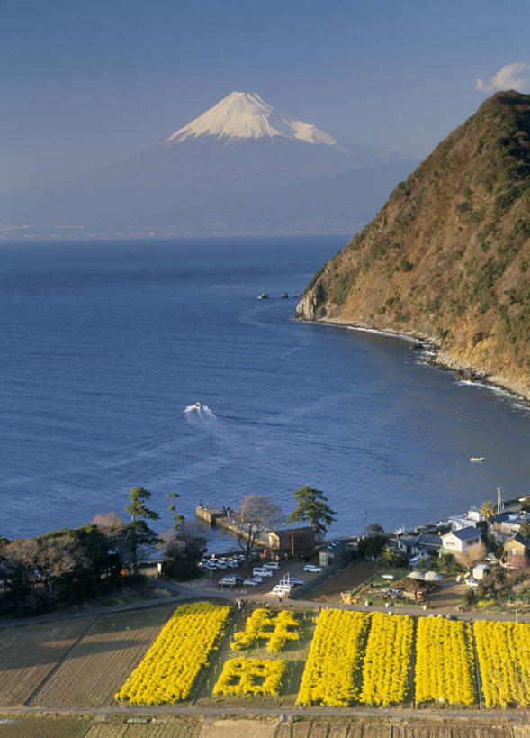 无人,竖图,室外,白天,正面,旅游,度假,海浪,海洋,美景,沙滩,山,雪,雪山,大雪,轮船,船,富士山,静冈县,日本,阴影,波纹,飞溅,溅,光线,沙子,液体,影子,冰,海岸,积雪,景观,浪花,山峰,水滴,雪景,云,云朵,冬季,冬天,沙地,山峦,云彩,娱乐,水珠,蓝色,白云,蓝天,水纹,天空,阳光,自然,海水,船尾波,交通工具,波浪,天,享受,休闲,景色,放松,寒冷,晴朗,冰冷,喷洒,自然风光,载具,海景,本州,本州岛,日本国,中部地方,静冈,严寒,冰凉,酷寒,凛冽,凛凛,极冷,大海,风浪,海,海水的波动,海滩,近岸浪,涌浪,晴空,彩图,沼津市,骏河湾