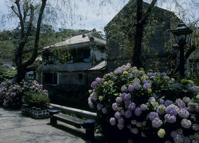 无人,家,横图,室外,白天,正面,旅游,度假,花海,花圃,美景,植物,叶子,刺绣,静冈县,日本,亚洲,阴影,艺术,盛开,光线,影子,手工艺品,房屋,屋子,景观,公寓,花蕾,文化,娱乐,洋房,楼房,住宅,花,花瓣,花朵,花卉,鲜花,蓝色,绿色,蓝天,天空,阳光,自然,工艺品,花丛,花束,花田,天,花苞,花蕊,享受,休闲,景色,放松,晴朗,高雅,自然风光,东亚,本州,万里无云,本州岛,日本国,中部地方,静冈,自信心,品位,伊豆半岛,绣球,晴空,晴空万里,彩图,房子,女红,针绣,针黹,黹,彩绣,下田,下田市