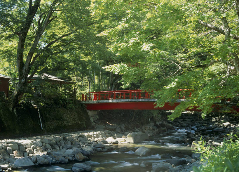 无人,栏杆,横图,室外,白天,正面,旅游,度假,河流,美景,森林,树林,水,植物,静冈县,日本,亚洲,阴影,光线,木板,影子,河水,景观,水流,围栏,桥,木桥,娱乐,护栏,栈桥,树,树木,绿色,小溪,阳光,自然,溪水,享受,休闲,景色,放松,生长,成长,人行桥,木板桥,自然风光,东亚,本州,本州岛,日本国,中部地方,静冈,伊豆半岛,彩图,伊豆市,修善寺温泉