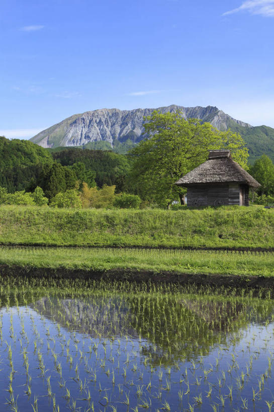 无人,农田,竖图,室外,白天,正面,旅游,度假,农业,庄稼,农作物,美景,山,山脉,水,日本,亚洲,阴影,光线,液体,影子,草屋,稻田,景观,山峰,水滴,云,云朵,山峦,云彩,娱乐,蓝色,白云,蓝天,天空,阳光,自然,群山,天,享受,休闲,景色,放松,晴朗,自然风光,东亚,本州,本州岛,日本国,中国地方,鸟取,鸟取县,晴空,彩图,耕地,庄稼田,茅舍,茅屋,大山町,西伯郡
