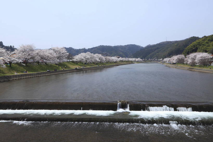 无人,横图,室外,白天,正面,旅游,度假,幸福,纯洁,河流,美景,山,山脉,水,樱花,日本,亚洲,阴影,盛开,光线,影子,河水,景观,山峰,水流,山峦,花蕾,娱乐,花,花瓣,花朵,鲜花,蓝色,蓝天,天空,阳光,自然,群山,天,花苞,花蕊,享受,休闲,景色,放松,晴朗,等待,生命,自然风光,东亚,本州,万里无云,本州岛,日本国,中国地方,仙樱花,福岛樱,青肤樱,高尚,热烈,岛根,岛根县,晴空,晴空万里,荆桃,彩图,云南市