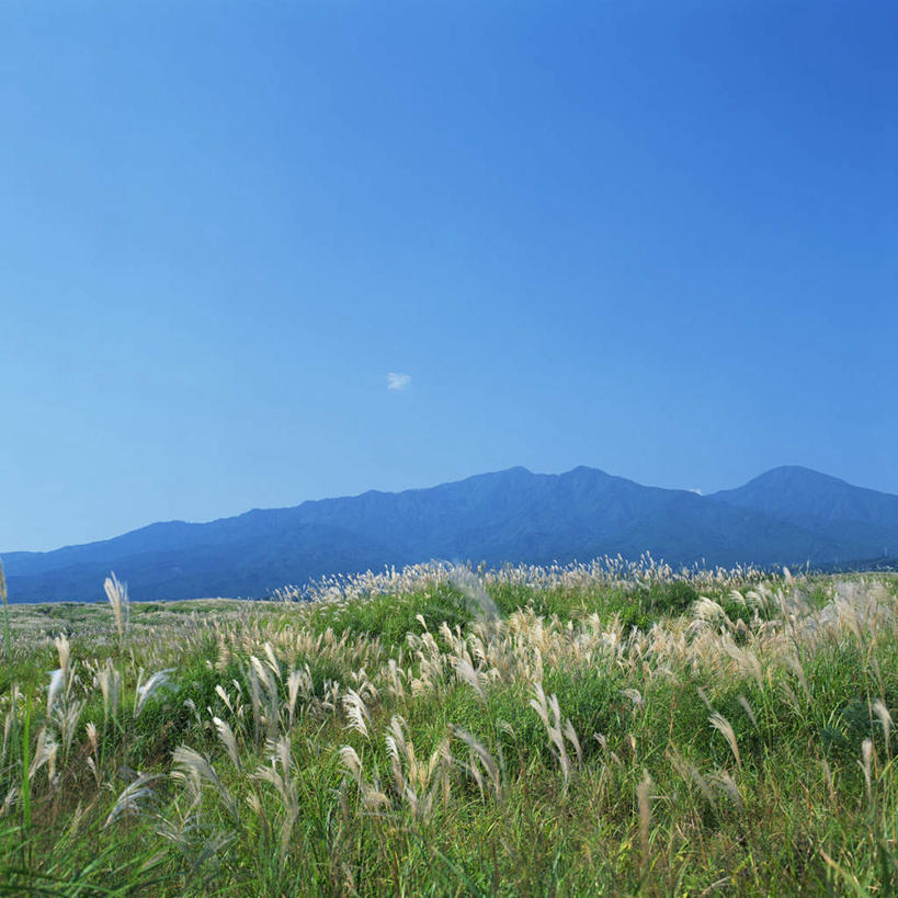 无人,方图,室外,白天,正面,草地,草坪,美景,山,田园,植物,日本,亚洲,景观,山峰,农村,芒草,山峦,草,蓝色,绿色,蓝天,天空,自然,天,景色,安静,生长,成长,平和,安逸,乡下,自然风光,东亚,五节芒,日本国,管草,管芒,寒芒,彩图