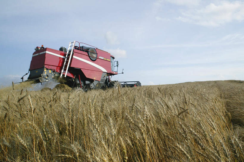 无人,农田,横图,室外,白天,正面,旅游,度假,庄稼,小麦,美景,北海道,日本,亚洲,阴影,光线,影子,景观,云,云朵,谷物,麦穗,云彩,娱乐,蓝色,白云,蓝天,天空,阳光,自然,天,享受,休闲,景色,放松,自然风光,东亚,联合收割机,日本国,北海道地方,北海道岛,彩图,耕地,庄稼田